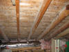 Attic ceiling Mold Removal - Beverly MA