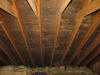 Attic Ceiling Mold-Mold Remediation-Lowell MA