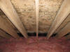Attic Ceiling Mold -mold remediation-Hingham MA