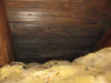 Mold removal, remediation, Attic Ceiling Concord MA