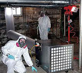 Basement_Mold Remediation, Mold Removal Needham MA