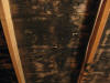 Attic Ceiling, mold remediation Newburyport ma, mold removal newburyport