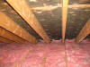 Attic Ceiling Mold - mold remediation -Newton MA