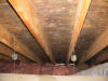 attic ceiling mold - mold removal - remediation-Andover MA