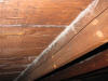 White attic ceiling mold-mold remediation- Danvers MA 