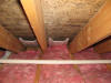 Attic Ceiling Mold-mold removal-Chelmsford MA