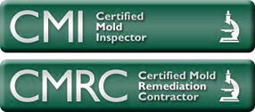 Certified mold removal, Salem MA mold Remediation, mold removal Salem